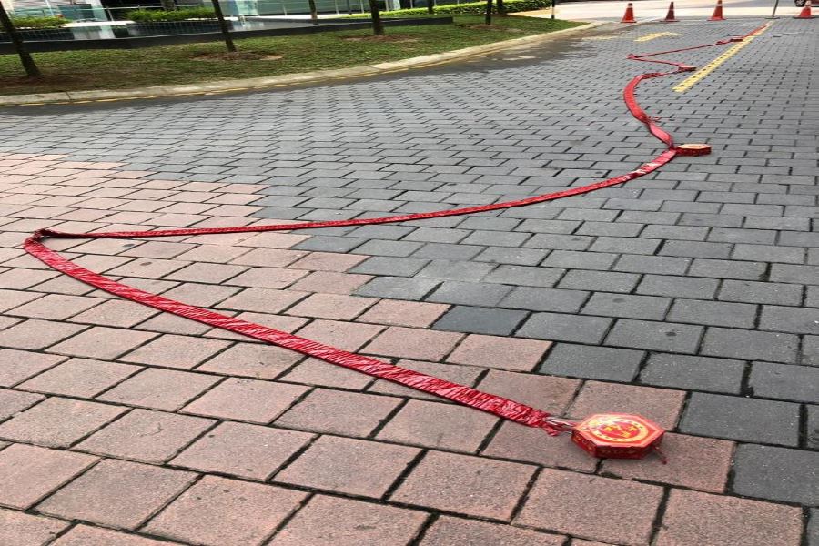 Garden Plaza CNY 2019