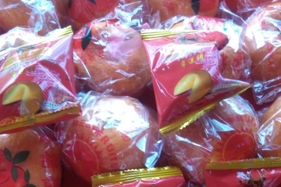 Garden Plaza CNY 2019