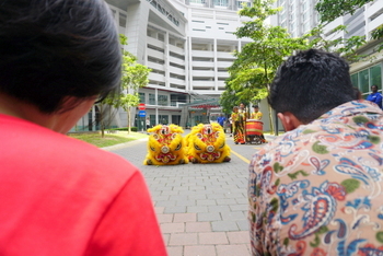 Garden Plaza CNY 2020